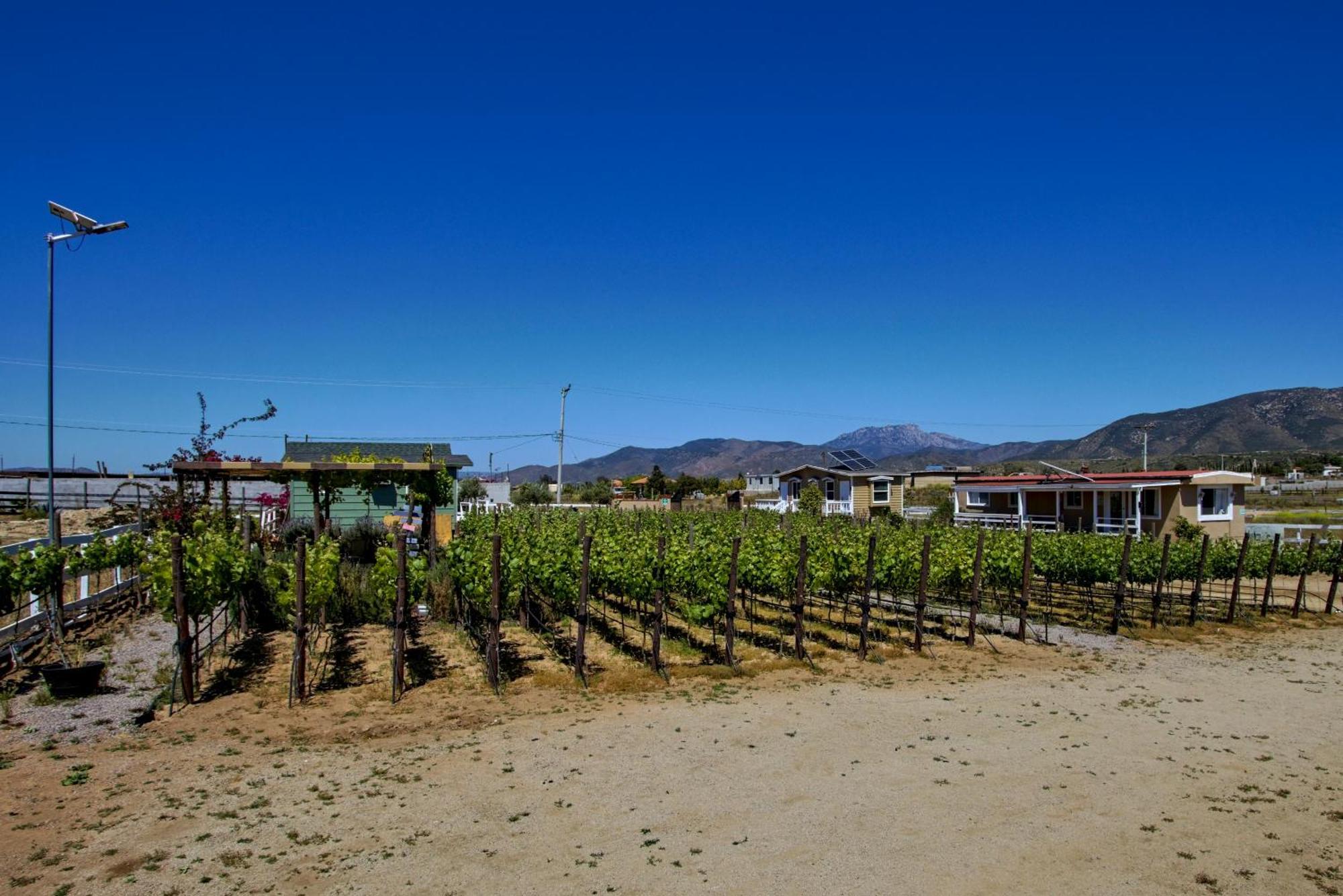 3333 Luz Del Valle Hotel Boutique Valle de Guadalupe Exterior foto